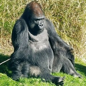 Meet your Posher, Dan